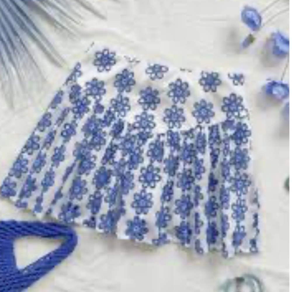 NWT Blue Floral Embroidered Pleated Mini Skirt